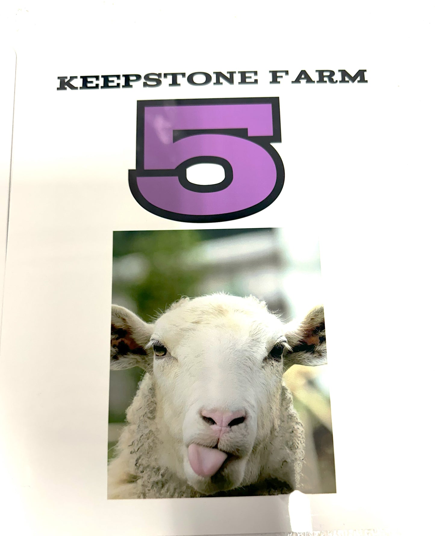 Custom 8X10 Metal Sheep Signs