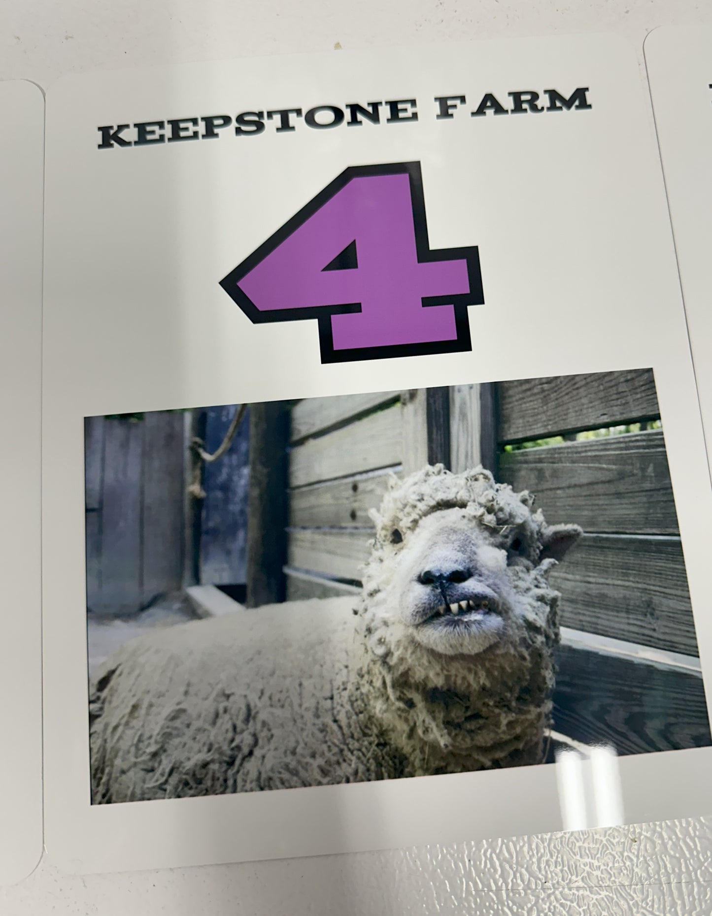 Custom 8X10 Metal Sheep Signs