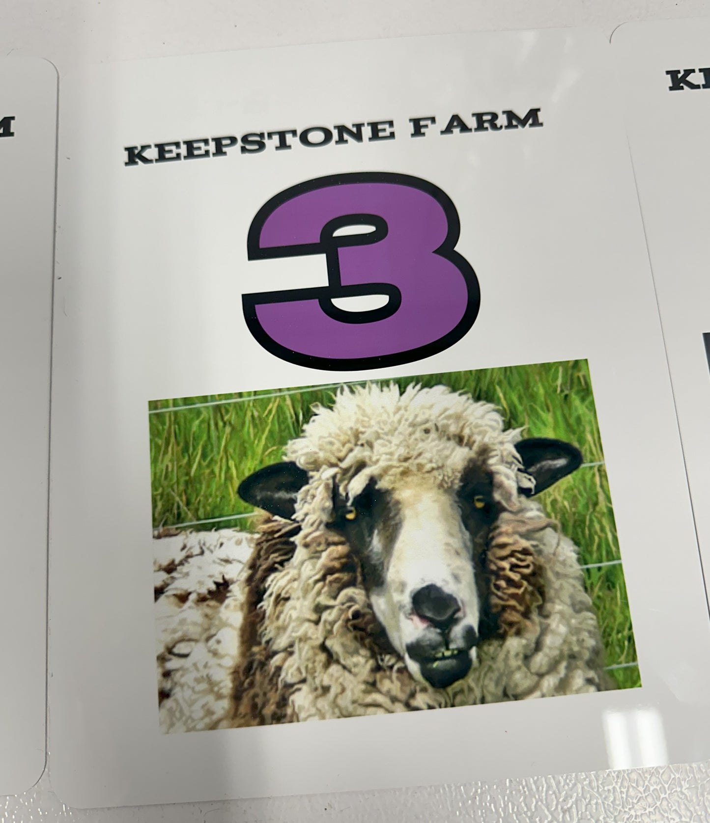 Custom 8X10 Metal Sheep Signs