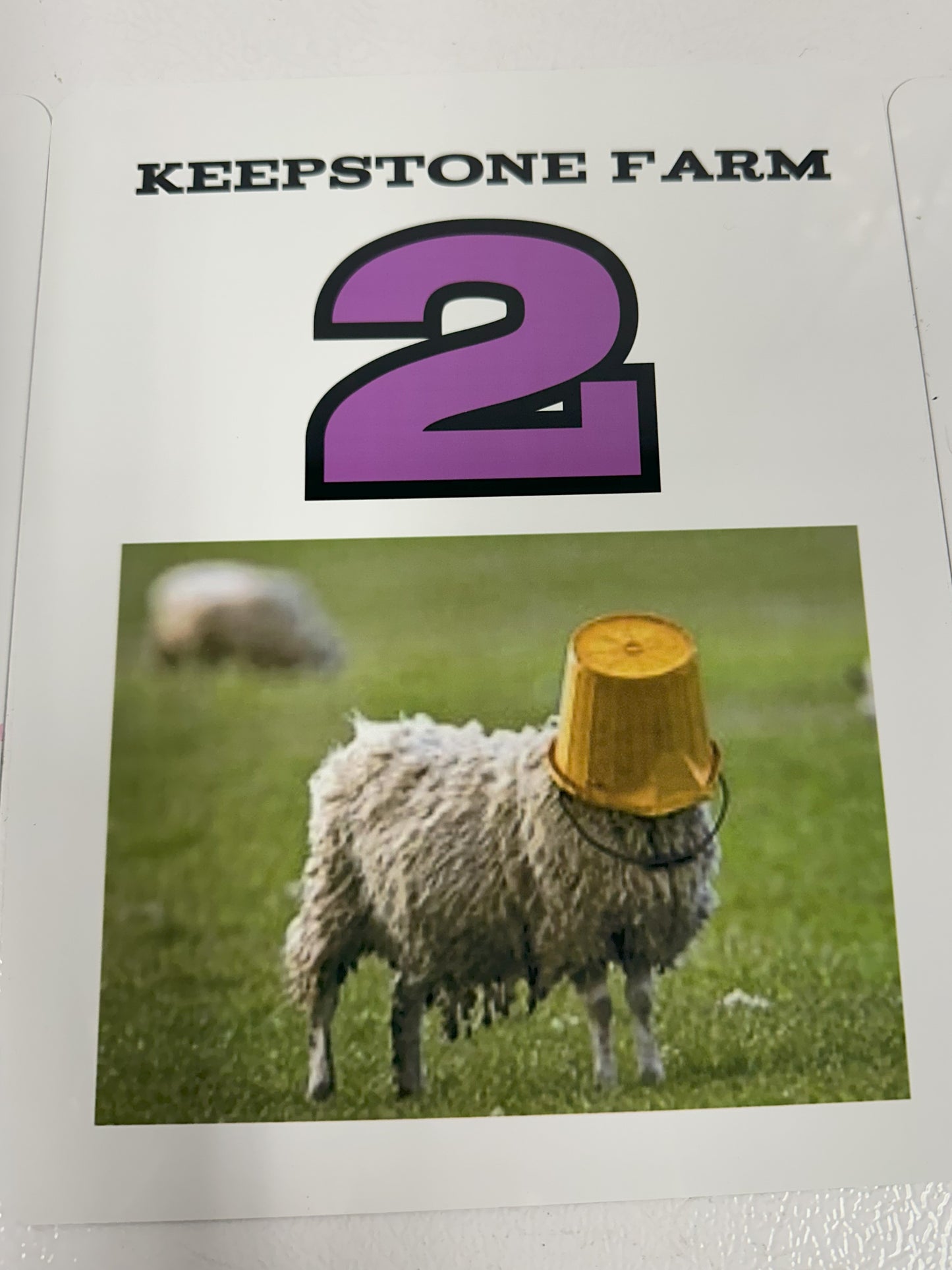 Custom 8X10 Metal Sheep Signs