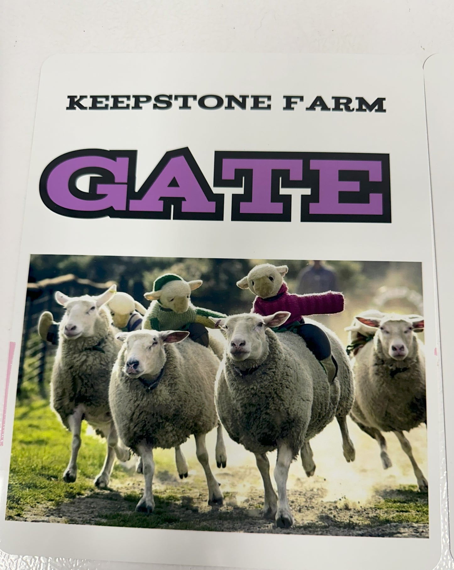 Custom 8X10 Metal Sheep Signs