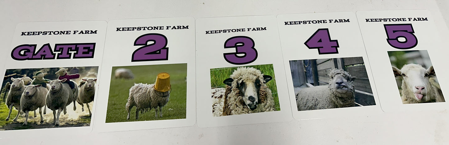 Custom 8X10 Metal Sheep Signs