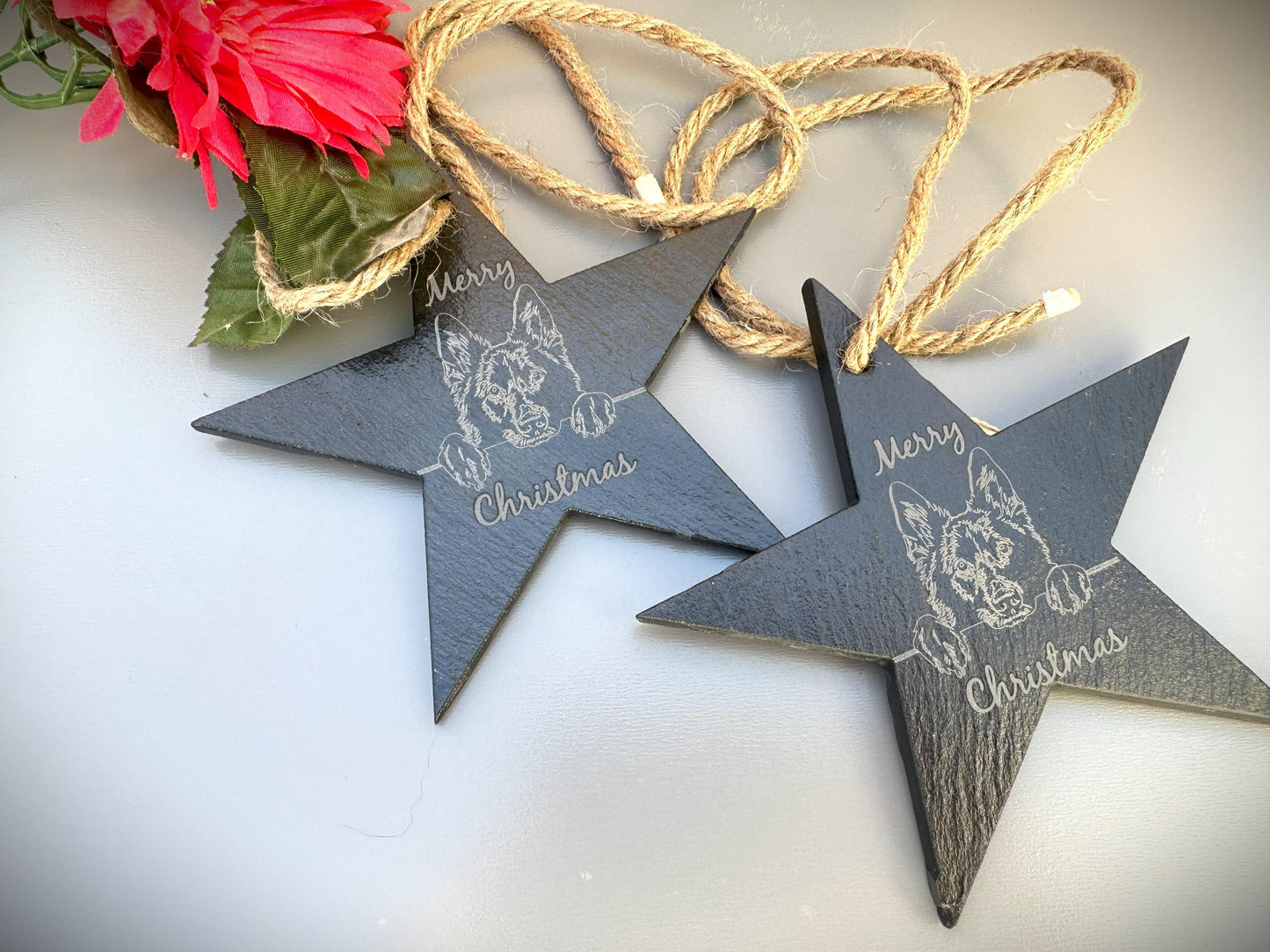 Peeking Belgian Sheepdog Slate Star Ornament
