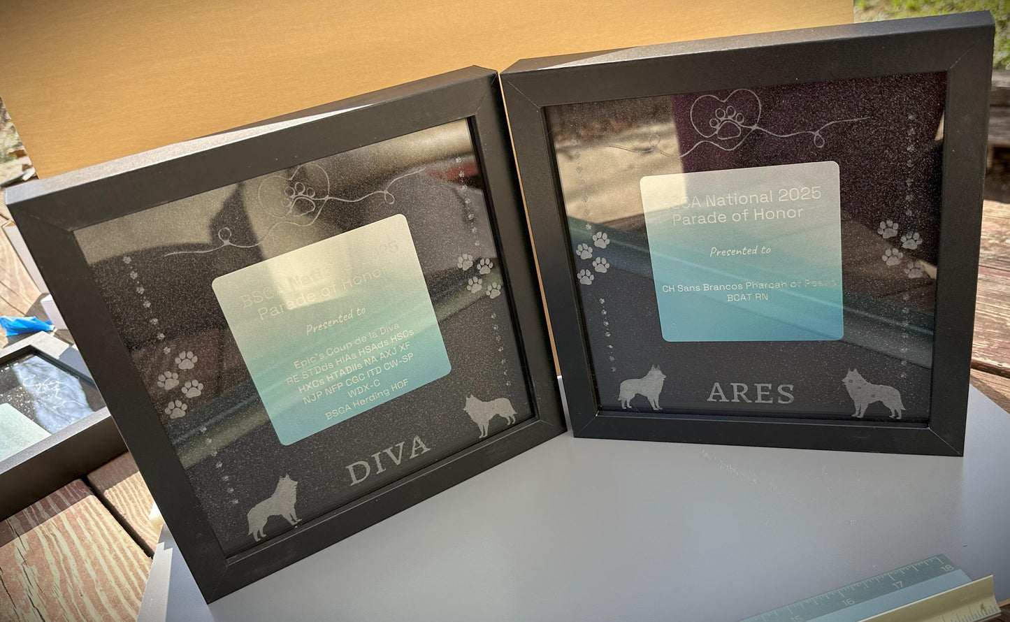 Dog Show Award Shadowboxes, Personalized Awards for Parades and Placements