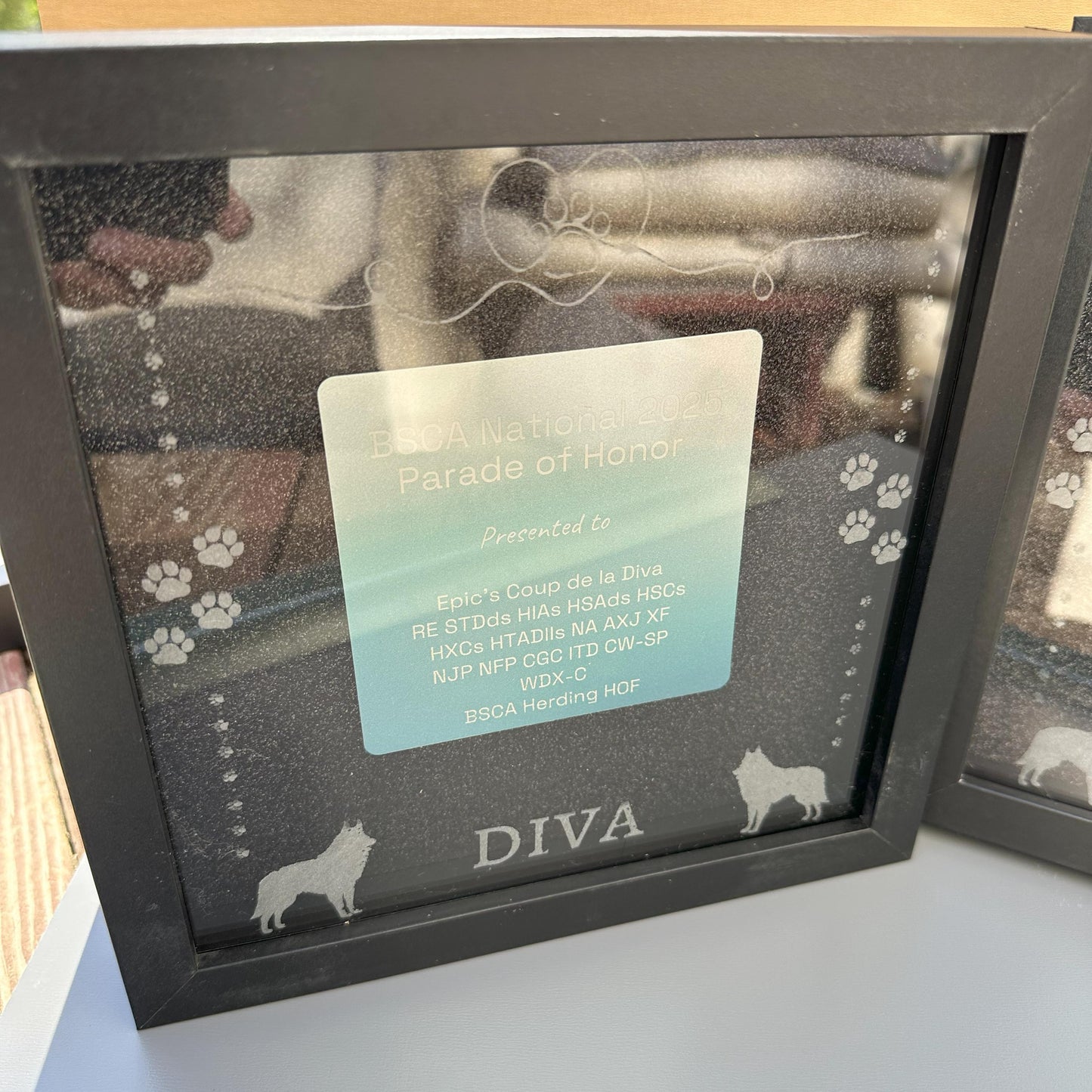 Dog Show Award Shadowboxes, Personalized Awards for Parades and Placements