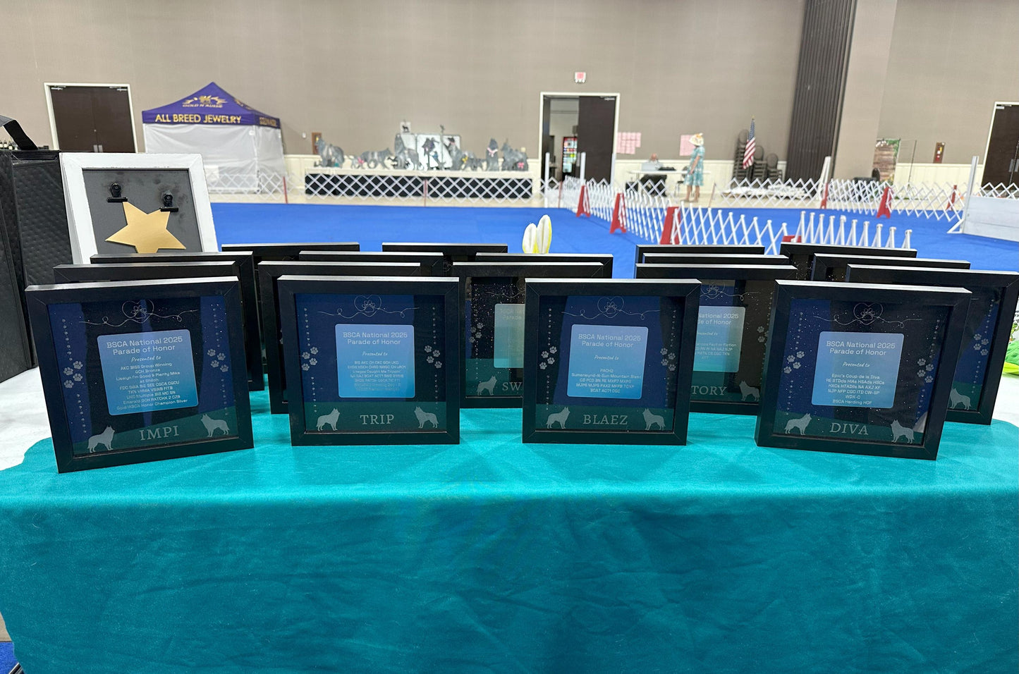 Dog Show Award Shadowboxes, Personalized Awards for Parades and Placements
