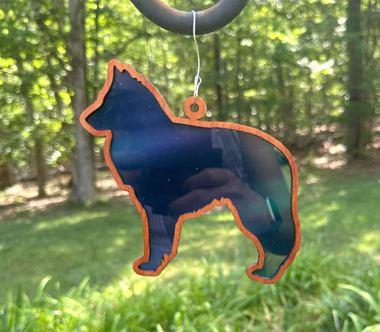 Belgian Sheepdog Sun Catcher, Northern Lights