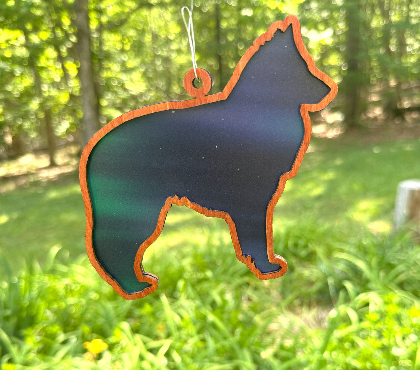 Belgian Sheepdog Sun Catcher, Northern Lights