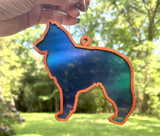 Belgian Sheepdog Sun Catcher, Northern Lights