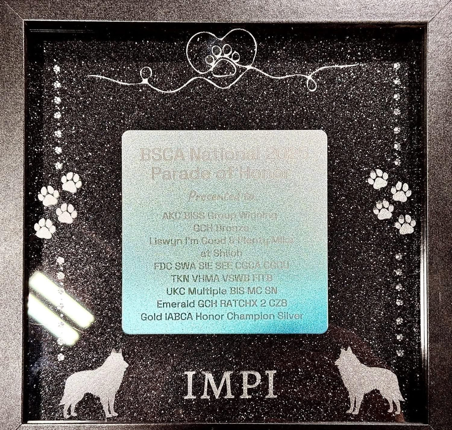 Dog Show Award Shadowboxes, Personalized Awards for Parades and Placements