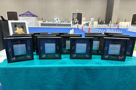 Dog Show Award Shadowboxes, Personalized Awards for Parades and Placements