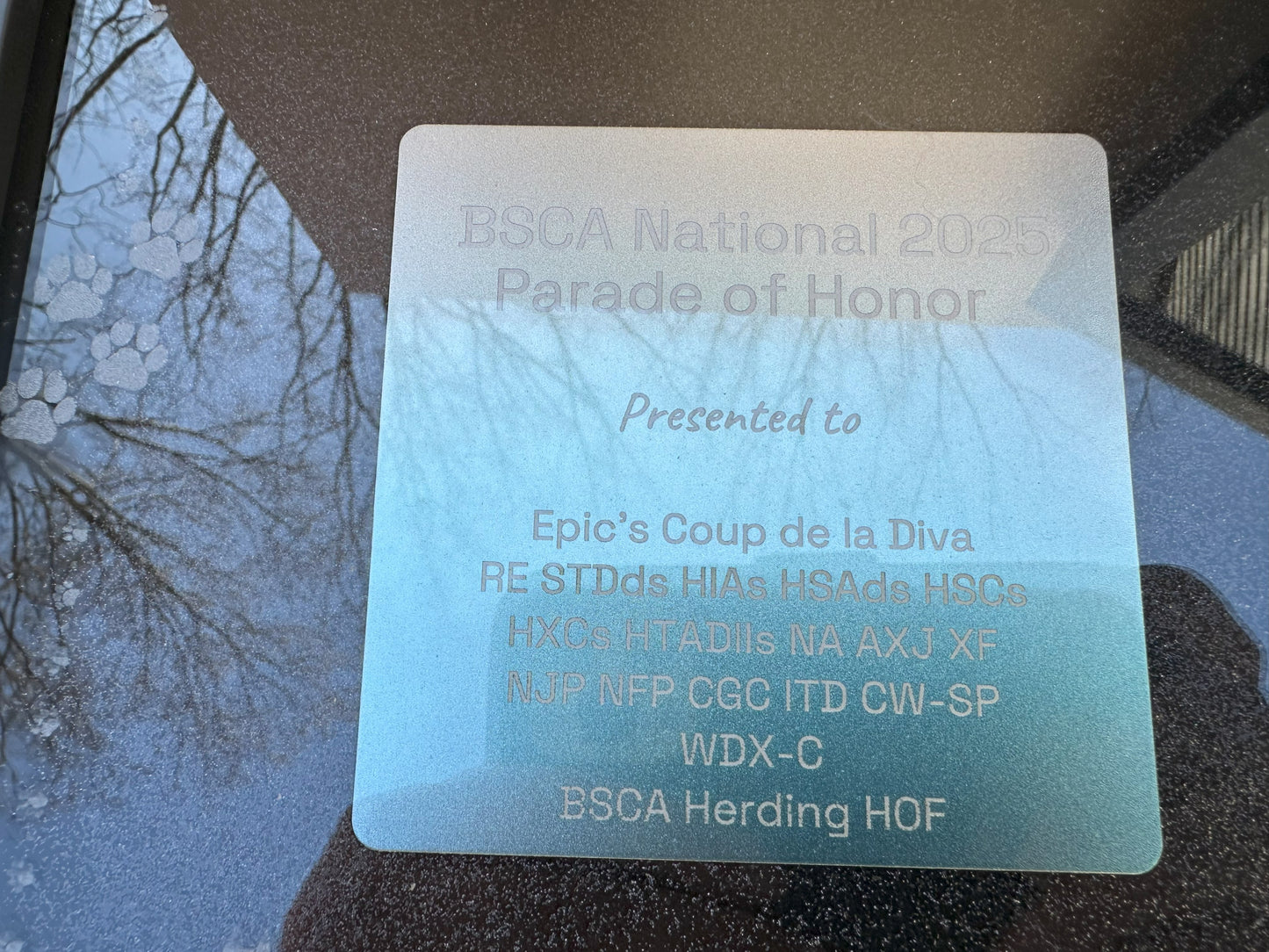 Dog Show Award Shadowboxes, Personalized Awards for Parades and Placements