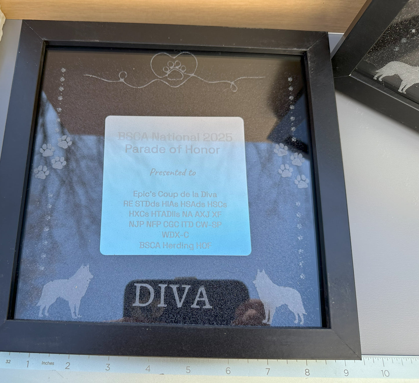 Dog Show Award Shadowboxes, Personalized Awards for Parades and Placements