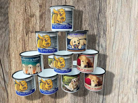 Customized Metal Enamel Pet Treat Jar