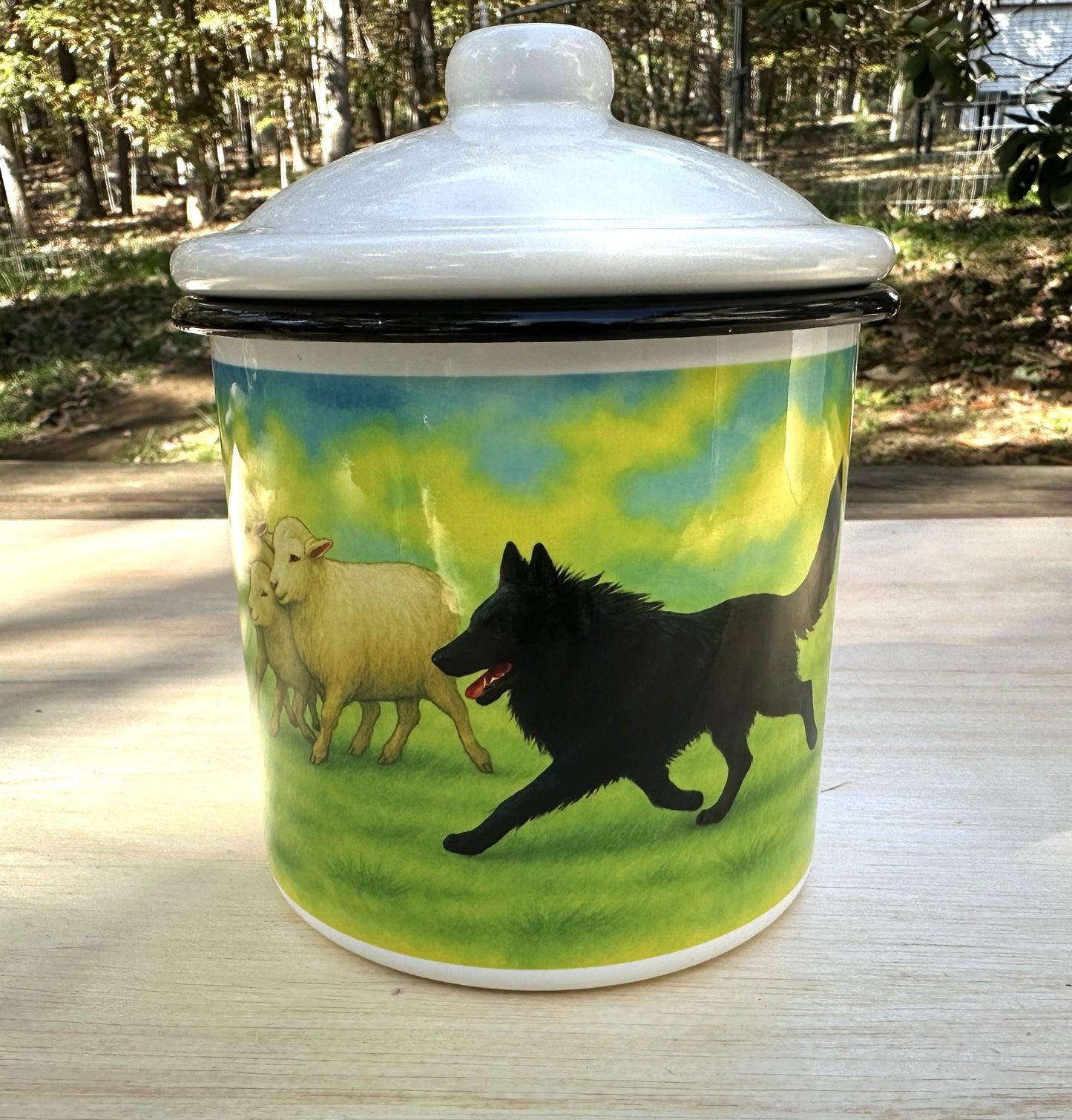 Customized Metal Enamel Pet Treat Jar